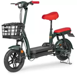 Bicicleta Elétrica Zilla Bikelete 350W 48v