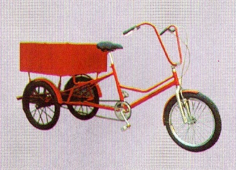 Triciclo De Carga Bikemoto Imagem 5
